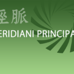 MeridianiPrincipali-verde